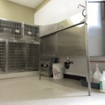 Kennel room